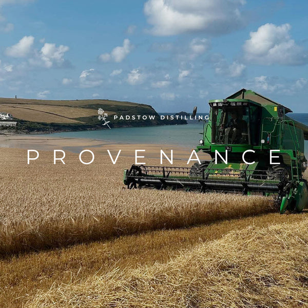 Batch #012 Padstow Gin 'Stepper Point' Navy