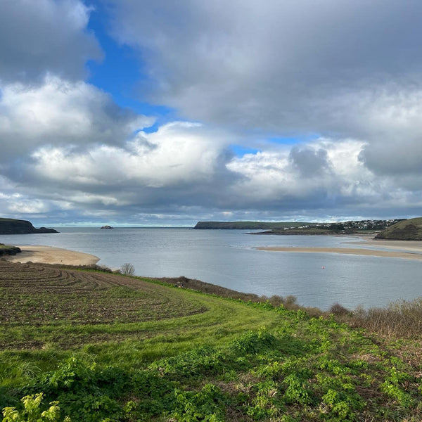 The Padstow Gin Experience