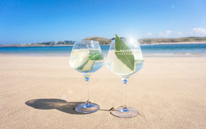 The Padstow Distilling Summer Refreshment Guide