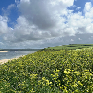 The Padstow Gin Experience